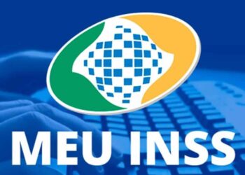 imagem com o símbolo do Meu INSS para falar da filas do INSS