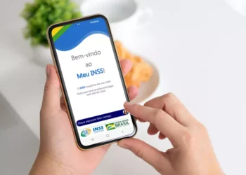 INSS, inscrição online para contribuintes