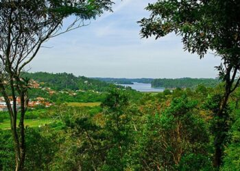 5 Melhores Cidades Brasileiras para uma Aposentadoria Tranquila (Fonte: Reprodução Google)